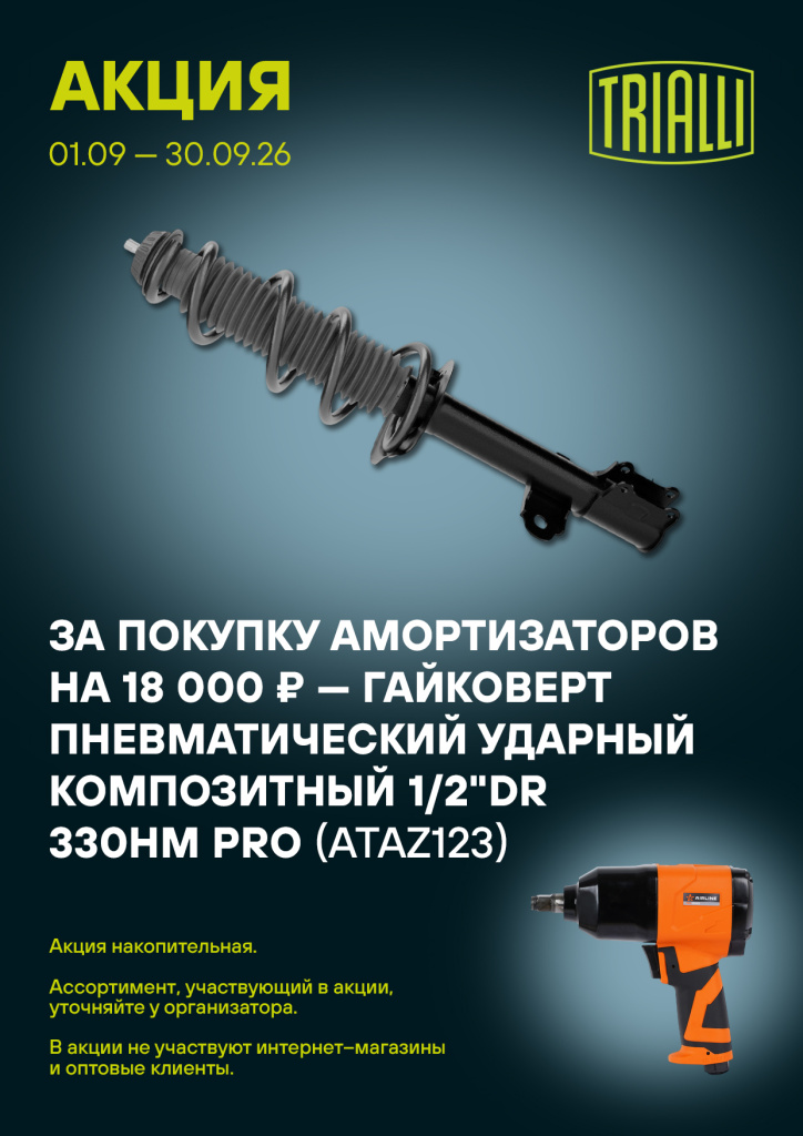Trialli Амортизатор 09.26.jpg
